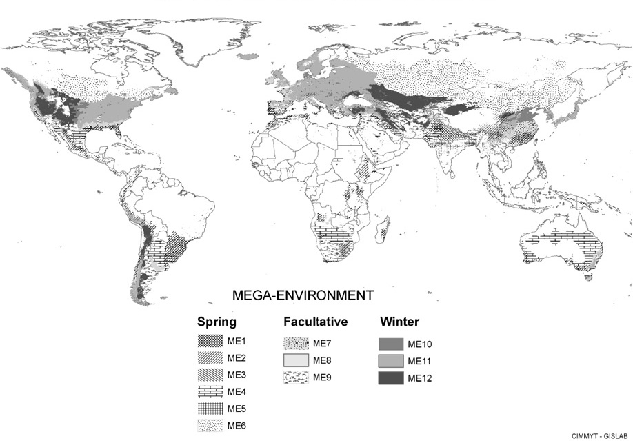 Global Distribution of Wheat Mega-environments